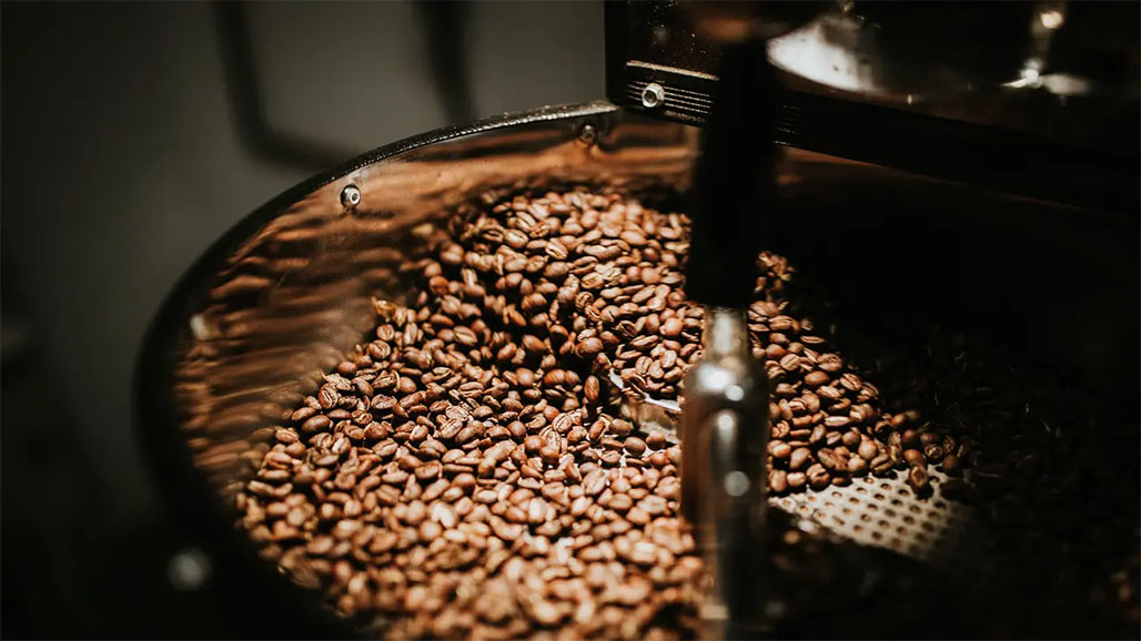 Kopi Arabika Gayo Aceh Terjual dengan Harga Tertinggi di Bandingkan Kopi Lainnya-Kopi AyoGoweb