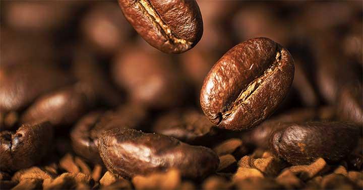 Kenapa Kopi Robusta Banyak Diproduksi di Indonesia?-Kopi AyoGoweb